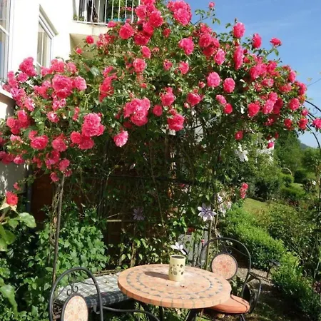 Tolle In Mit Grossem Garten By Interhome Lägenhet *