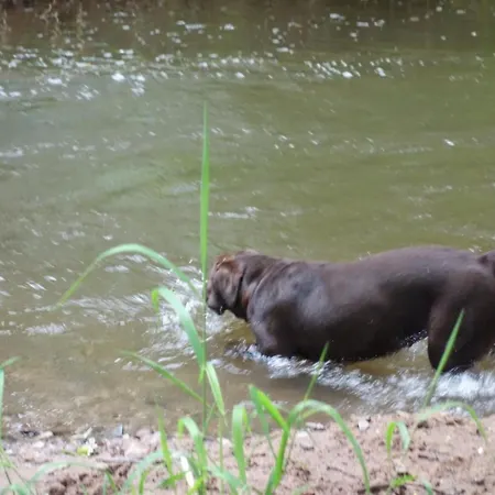 Tolle In Mit Grossem Garten By Interhome Apartment *