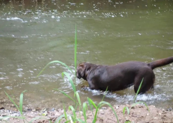 Tolle In Mit Grossem Garten By Interhome Apartment *